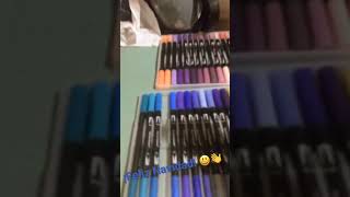 Siempre Quise Estos Plumones