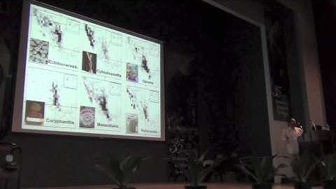 Biodiversity Informatics Training Curriculum: Chris Yesson Seminar on Phyloclimatic Modeling, Part 1