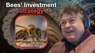 Clip: Why Bees break the rules | Balancing the "explore-exploit trade-off"