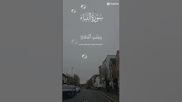 تلاوة عطرة للشيخ سعد الغامدي ماتيسر من سورة النبأ