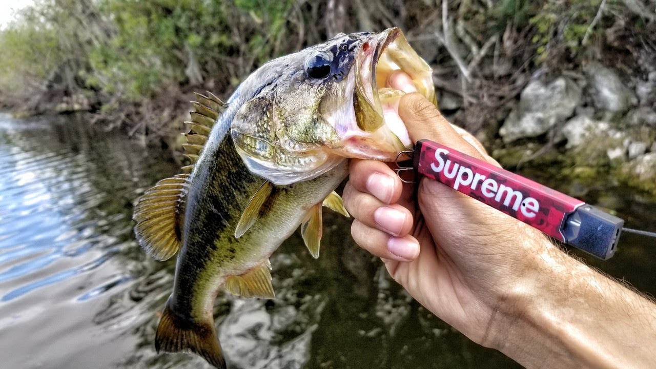 JUUL Fishing Lure Catches Fish!? INSANE Outcome! I Cant Believe This  Worked! 