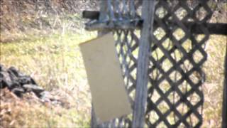 ICS-47 (MK18 mod0) Shooting Test