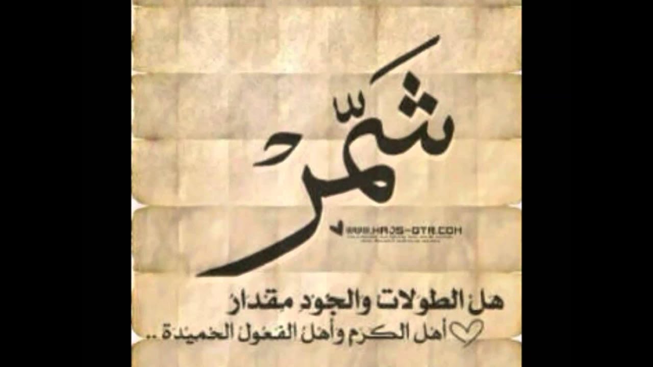 قصيدة الشاعر سبتي العويد العنزي في مدح قبيلة شم ر Youtube