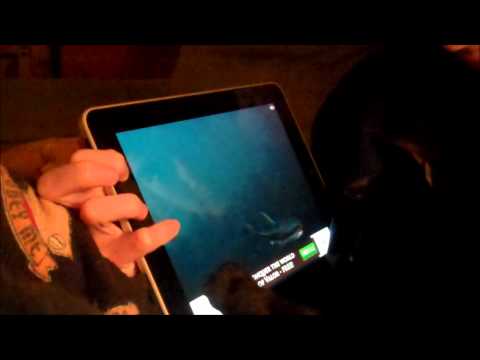 america's-funniest-home-videos-entry-----baxter-and-the-ipad
