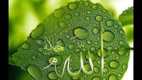 42 - سورة الشورى تلاوة مجودة القارئ فارس عباد - تلاوة تخشع لها القلوب