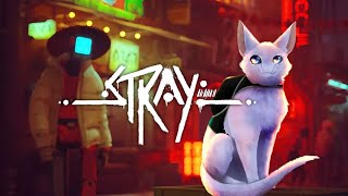 STRAY - Maju plays