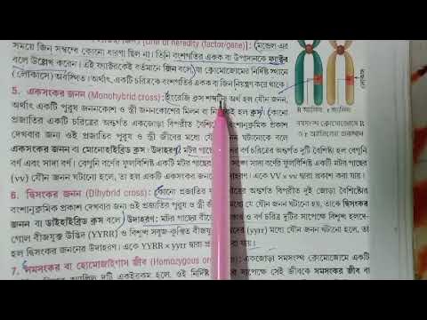 Retro orgiya porno Keng kalçalı yalangoch qizlarning fotosuratlari