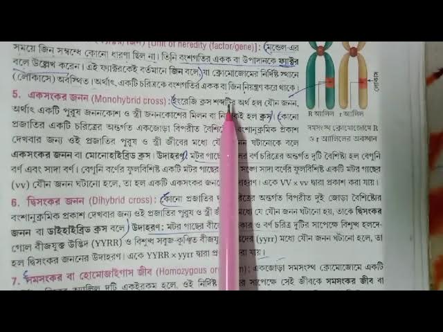 Keksa ayollarning ahmoq suratlari Faqat Katya bilan jinsiy aloqa