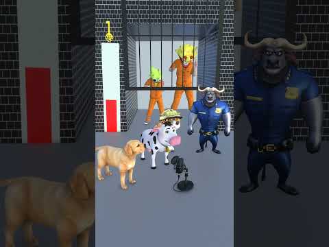 ADORABLE CATS, CUTE COWS, AND DOGS RESCUES A POOR PRISONER!#funny #shots #dance