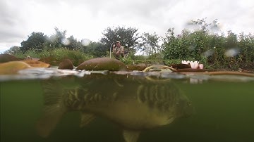 Introducing the Echo Pro SE cast-able sonar and underwater camera