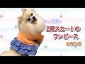 【犬服】大人可愛い