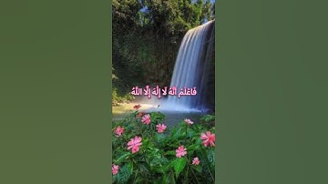 فَاعْلَمْ أَنَّهُ لَا إِلَٰهَ إِلَّا اللَّهُ❤️#حسن_الظن_بالله #راحة_نفسية #اطمئنان #سورة_محمد