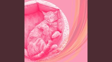 Fabulous Waltz - Vibe for Lazy Cat Days