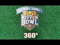 Preview - Kitten Bowl 360° - Hallmark Channel