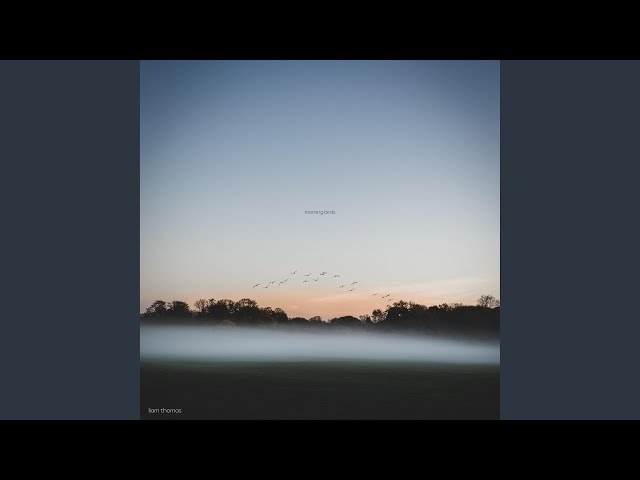 Liam Thomas - Morning Birds