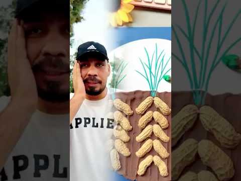 اتمني لك انجاح في حياتك كوميديا اقنباسات  ضحكة ام سيف