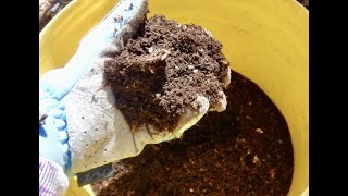 How to Start Composting At Home...For Kids!
