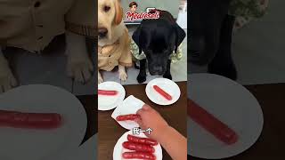 Burda Bir Hile Var Sanırım