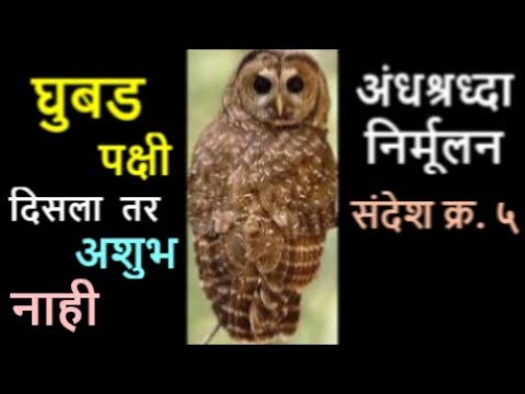 घुबड पक्षी दिसला तर अशुभ नाही - अंधश्रध्दा निर्मूलन संदेश क्र. ५ - Owl Superstition (Marathi)