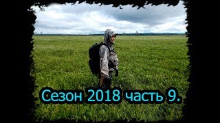 видео: 4 месяца в тайге. Сезон 2018 часть 9. Великолепный Олень, Табр, Мель.bushcraft. картинка: 4 месяца в тайге. Сезон 2018 часть 9. Великолепный Олень, Табр, Мель.bushcraft.