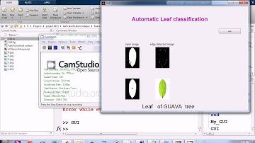 Automatic leaf classification using GLCM features and SVM