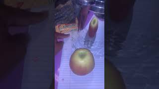 IMG 6366
