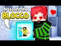 GIOCO A NASCONDINO MA ENTRO NEI BLOCCHI su MINECRAFT
