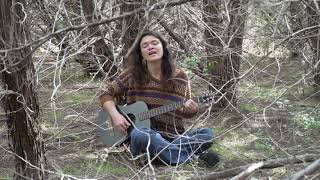 Video thumbnail of "Arbolito Divino-Nick Barbachano cover by Haley Harkin"