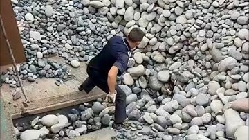 Barge unloading cobblestone - relaxing video,the flow of stones is very fast and smooth relaxing