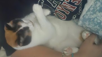 어게인 강원도♡ 어서옵서예