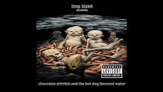 Limp Bizkit - 11. It'll Be OK (audio)