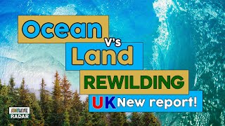 Rewilding Britain  - Ocean vs Land Rewilding in the UK by Animal Educate 791 views 2 years ago 3 minutes