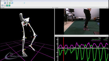 Hybrid Motion Capture with Qualisys Cameras and IMUs
