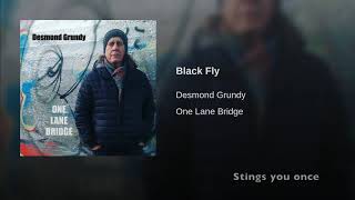 Black Fly lyric video YouTube