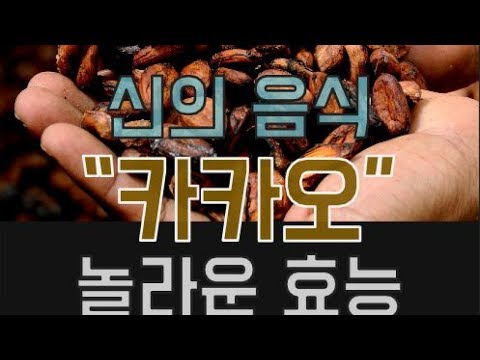 신의 음식이라 불리던 카카오 대표 효능 베스트 6♥건강 정보♥