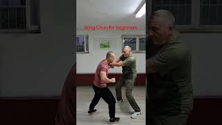 Wing Chun for beginners-Master Lazo Naumov #wingchunkungfu #martialarts #sport