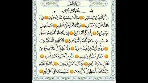 سوره القلم من 1الى25 ماهر المعيقلي