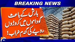 Wheat worth crores of rupees in warehouses spoiled due to rain !!! | Breaking News