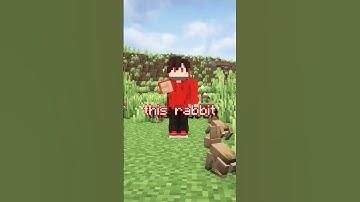 Secret Zombie Rabbit Found in Minecraft?!