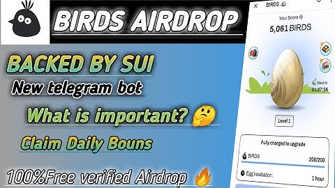 Birds Telegram Mini Game || Backed By Sui
