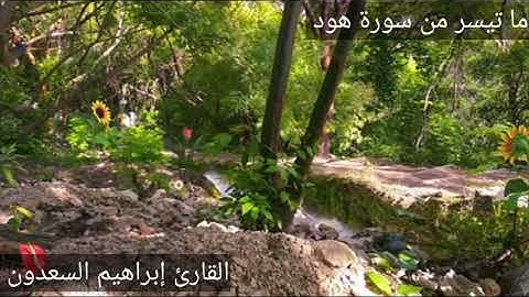 اواخر سورة هود للقارئ إبرهيم السعدون