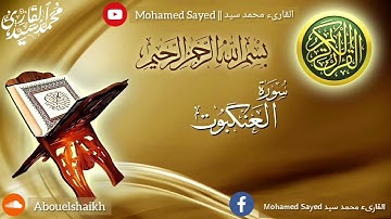 سورة العنكبوت || القارىء محمد سيد || Mohamed Sayed