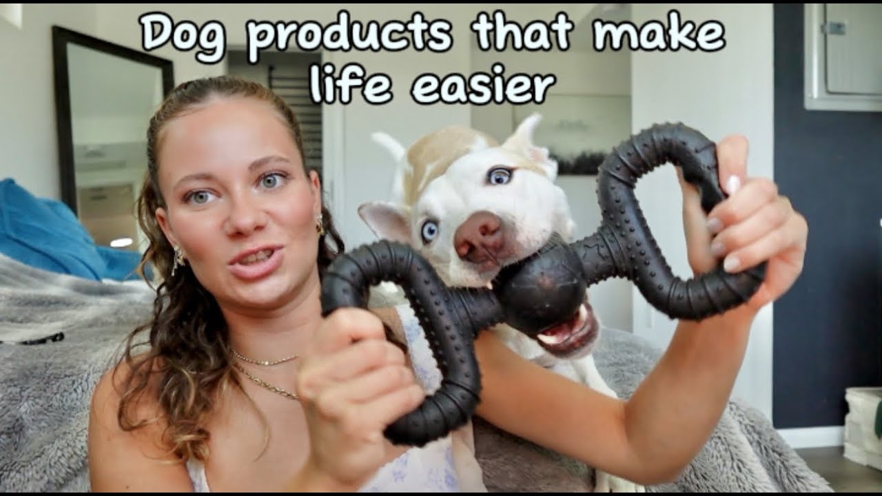 All our Favorite Dog Products from leashes, grooming, toys, and more!!