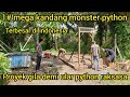 1# MEGA KANDANG MONSTER PYTHON RAKSASA DI MULAI