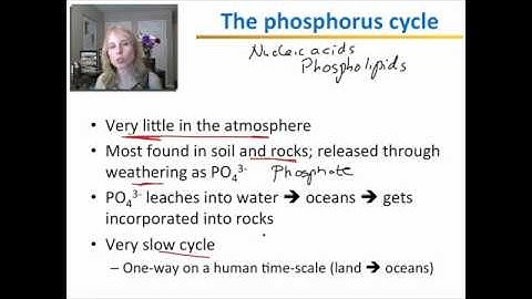Environmental Systems and Biogeochemical Cycles Part 2