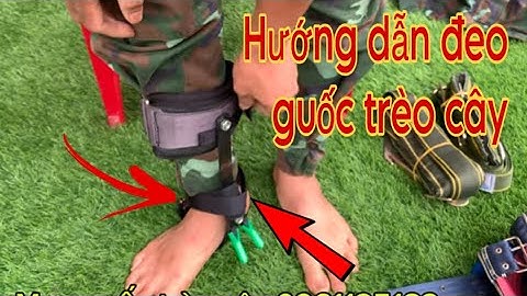 Hướng dẫn đeo guốc trèo cây hai Đinh mẫu 2024