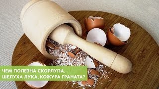 Чем полезна скорлупа, шелуха лука, кожура граната? Советы диетолога М.В. Копытько Чем полезна скорлупа, шелуха лука, кожура граната? Советы диетолога М.В. Копытько