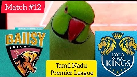 BAIISY Trichy vs LYCA Kovai Kings - Tamil Nadu Premier League 2023 - Parrot Prediction