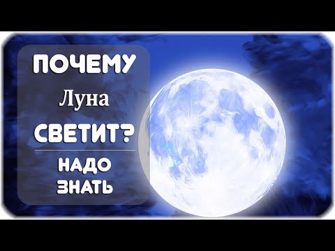 Видео: 10 вещей, которые нужно знать, прежде чем увидеть свой следующий концерт - Matador Network