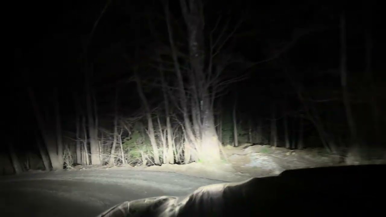 A quiet night ride on Old NC 105